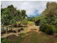 Yungaburra QLD 4884