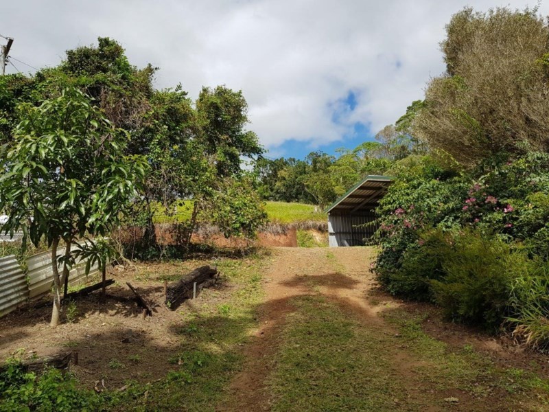 Yungaburra QLD 4884