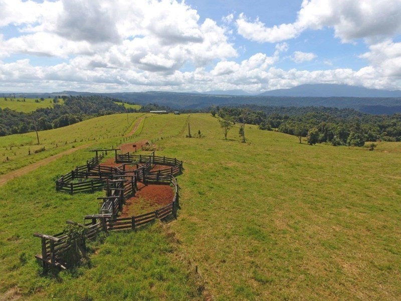 Millaa Millaa QLD 4886