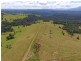 Millaa Millaa QLD 4886