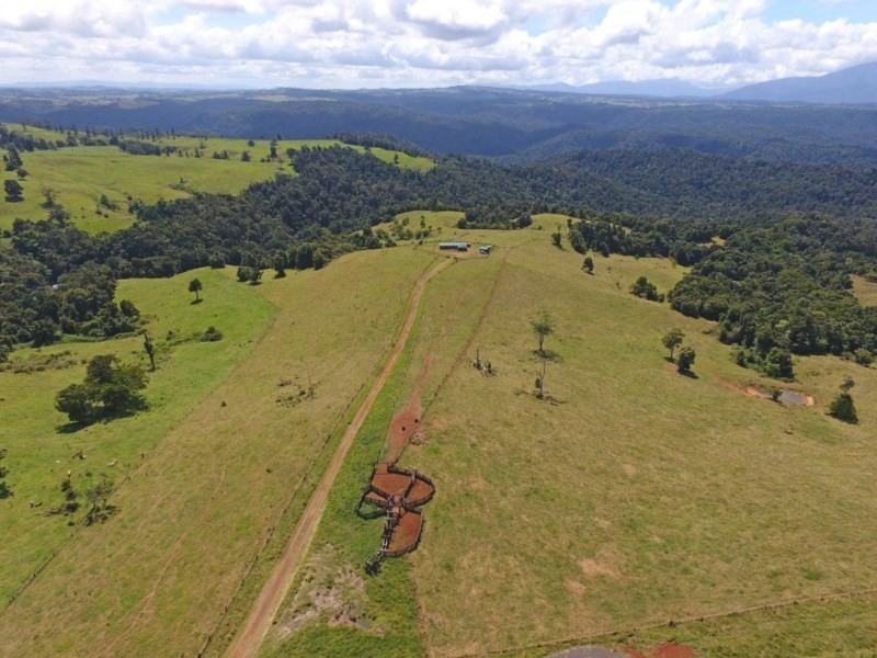 Millaa Millaa QLD 4886