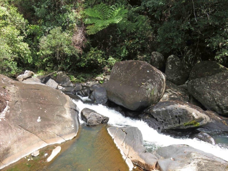 Millaa Millaa QLD 4886