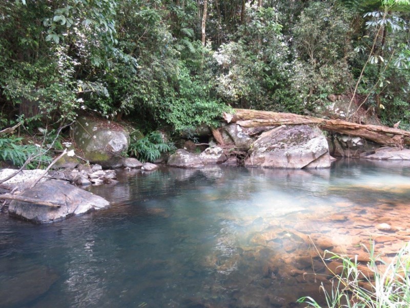 Millaa Millaa QLD 4886