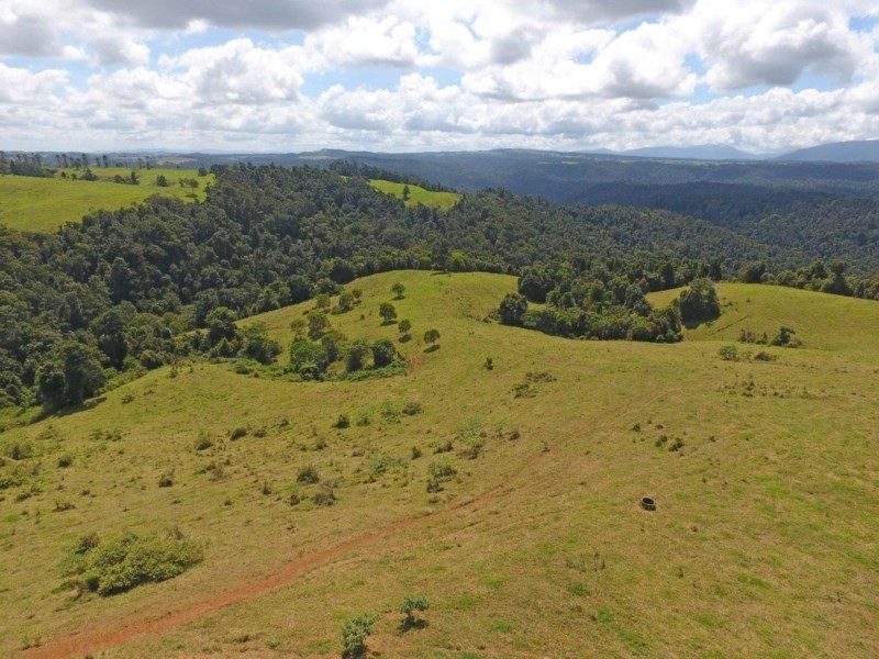 Millaa Millaa QLD 4886