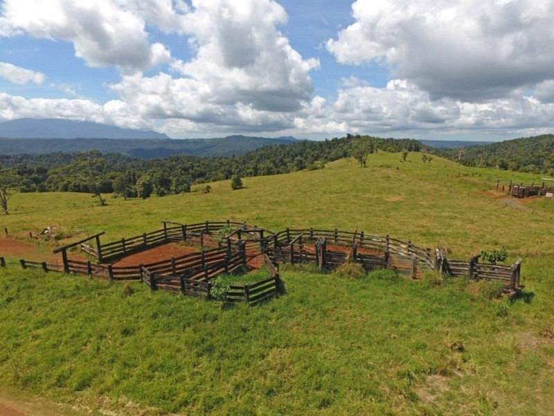 Millaa Millaa QLD 4886