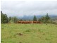 Malanda QLD 4885