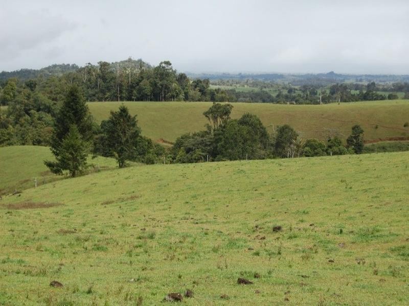 Malanda QLD 4885