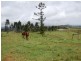 Malanda QLD 4885