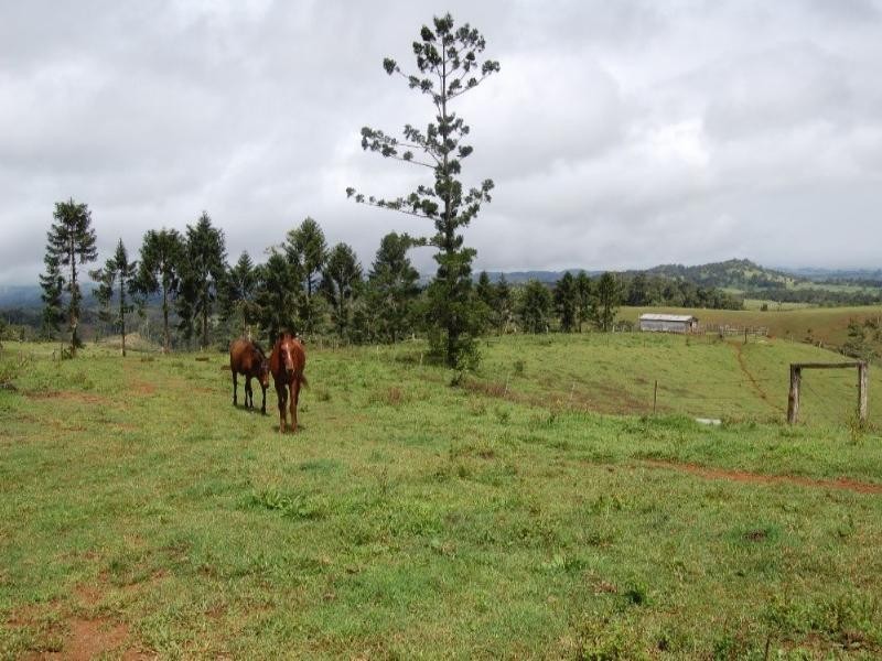 Malanda QLD 4885