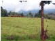 Malanda QLD 4885