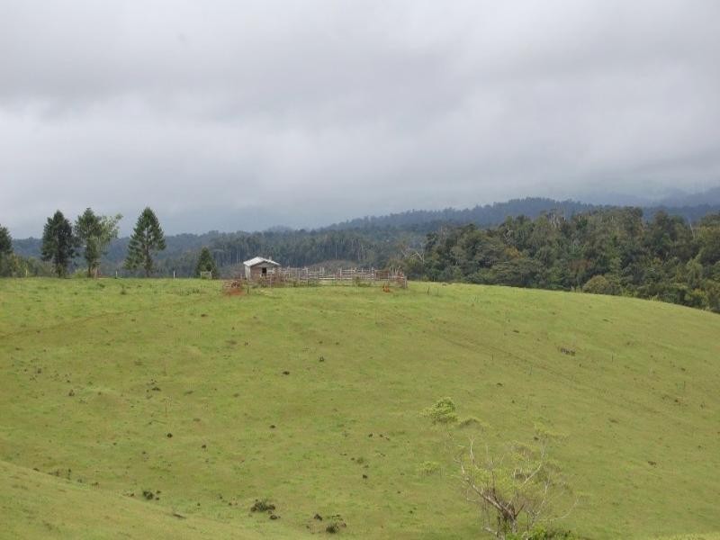 Malanda QLD 4885