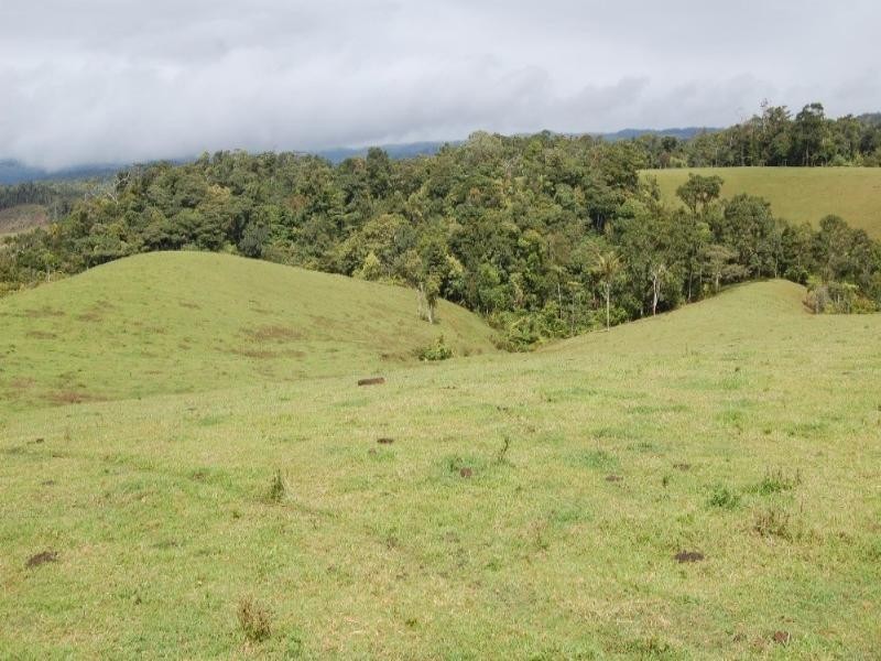 Malanda QLD 4885