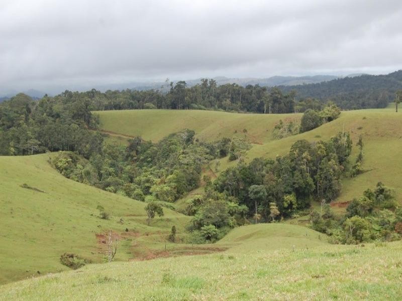 Malanda QLD 4885