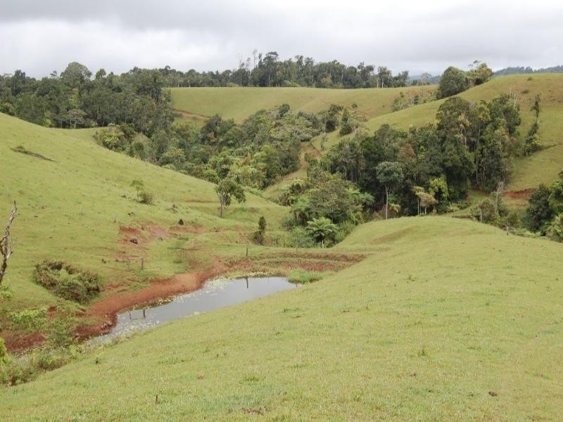 Malanda QLD 4885
