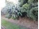 Atherton QLD 4883