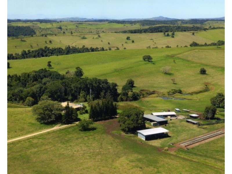 Upper Barron QLD 4883