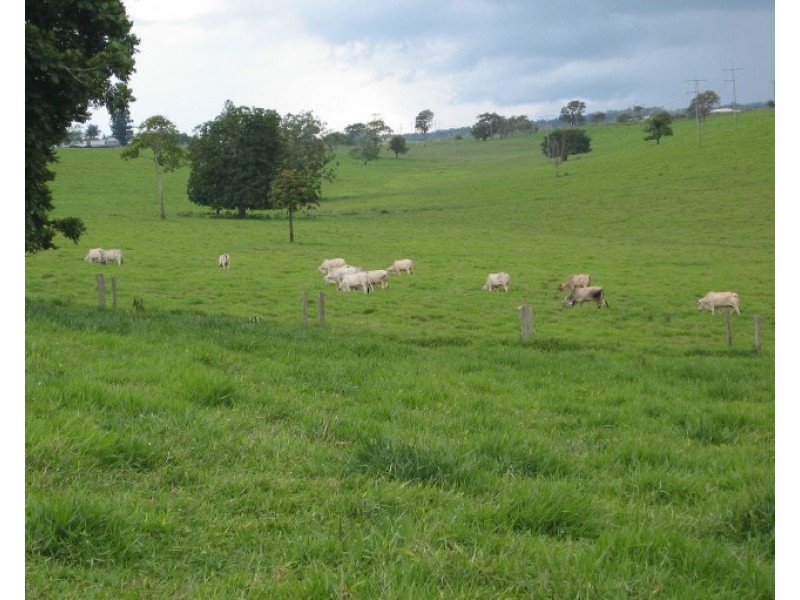 Upper Barron QLD 4883