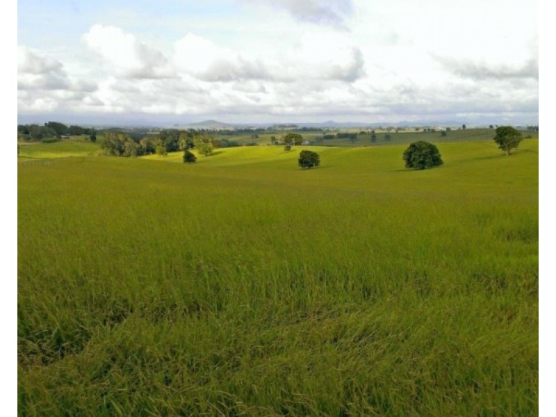 Upper Barron QLD 4883