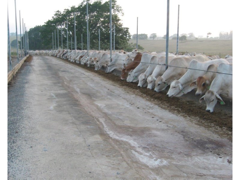 Upper Barron QLD 4883