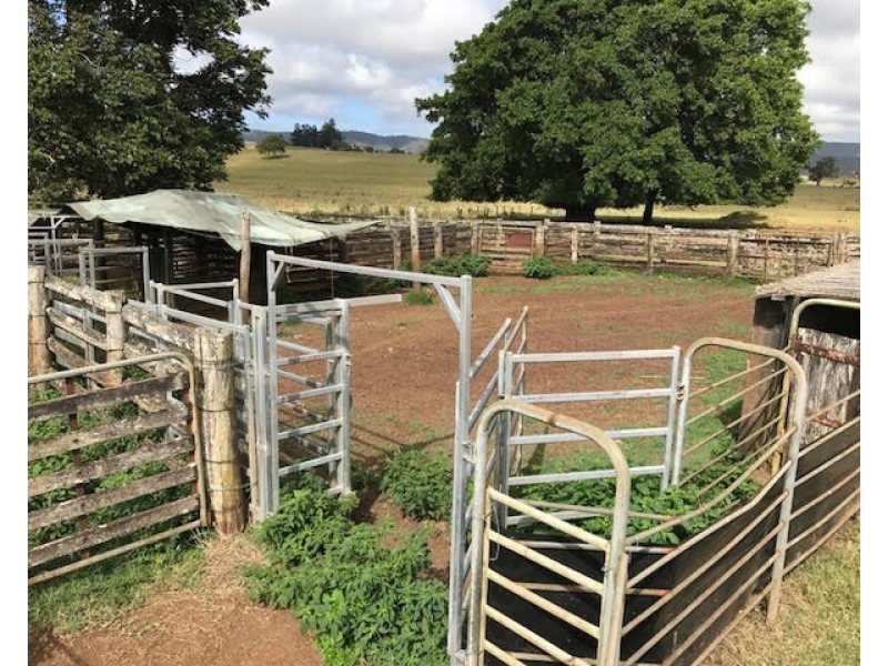 Upper Barron QLD 4883