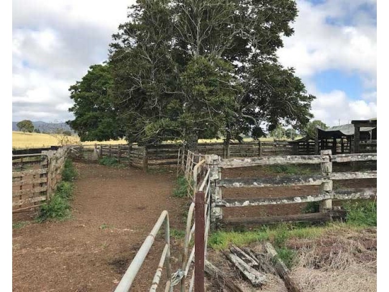 Upper Barron QLD 4883