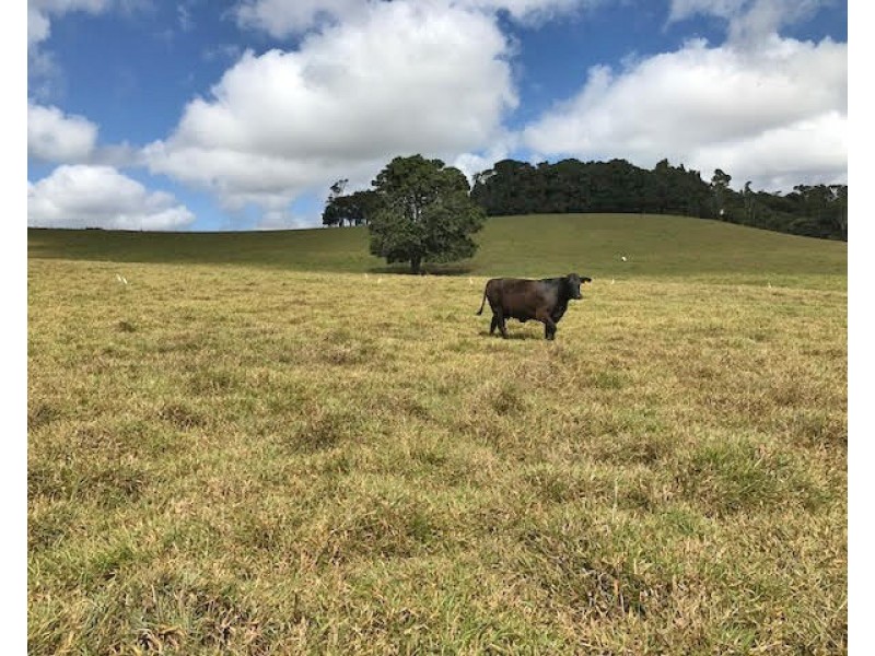 Upper Barron QLD 4883