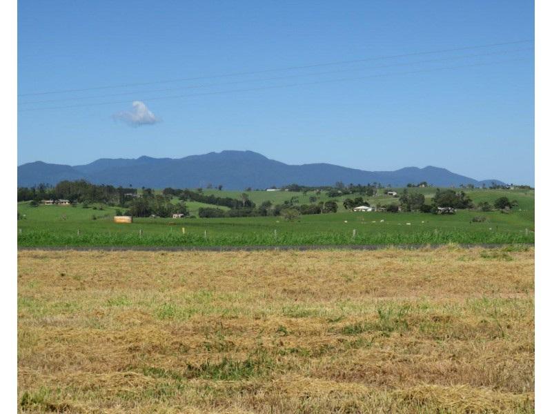 Lake Eacham QLD 4884