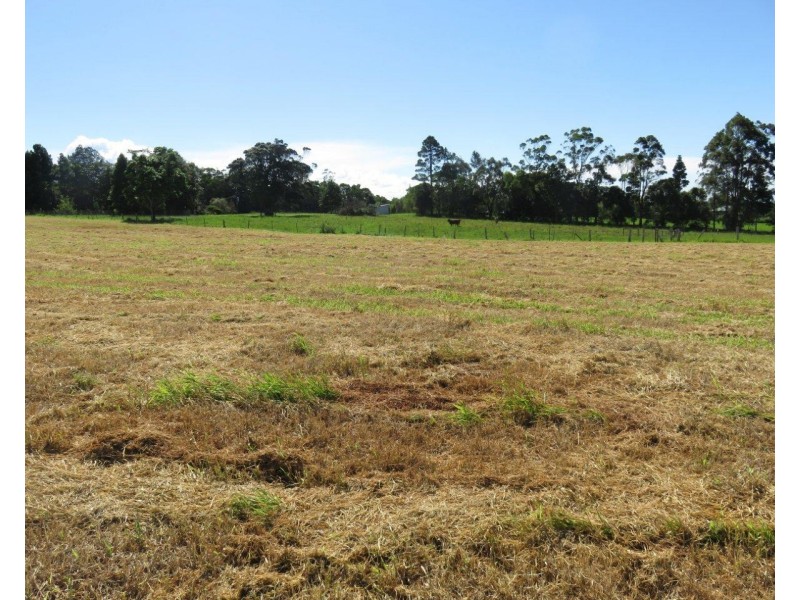 Lake Eacham QLD 4884