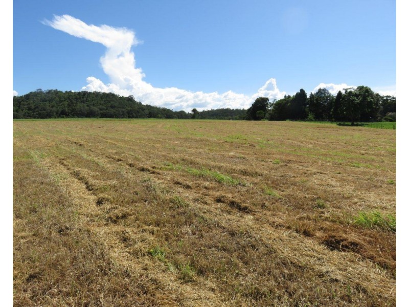 Lake Eacham QLD 4884