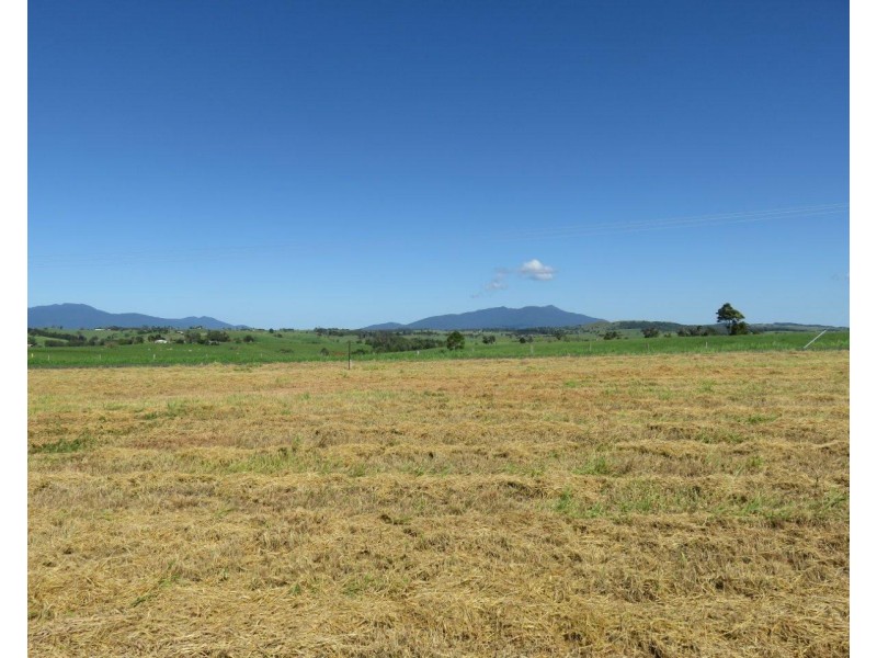 Lake Eacham QLD 4884