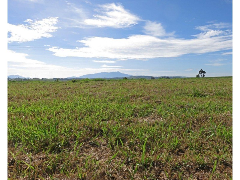 Lake Eacham QLD 4884