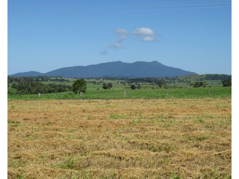 Lake Eacham QLD 4884