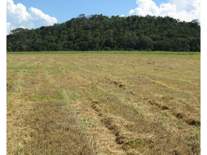 Lake Eacham QLD 4884
