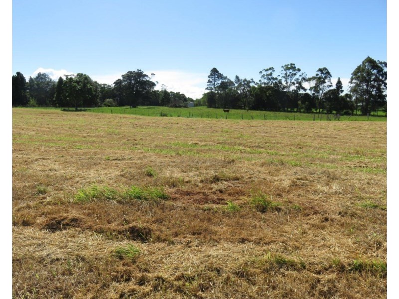 Lake Eacham QLD 4884