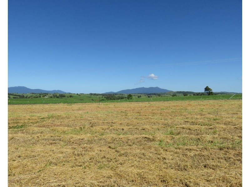Lake Eacham QLD 4884