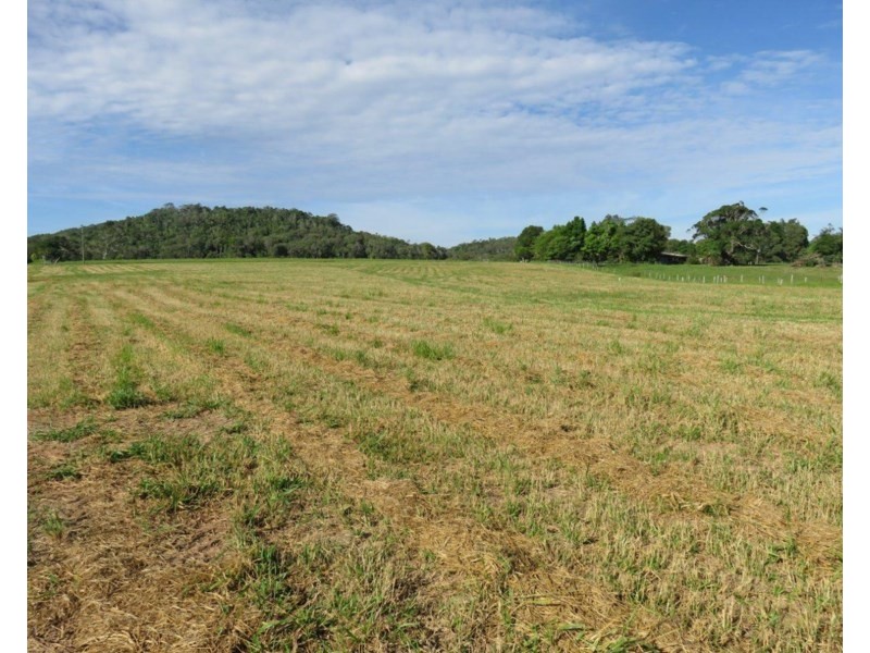 Lake Eacham QLD 4884