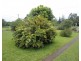 Malanda QLD 4885