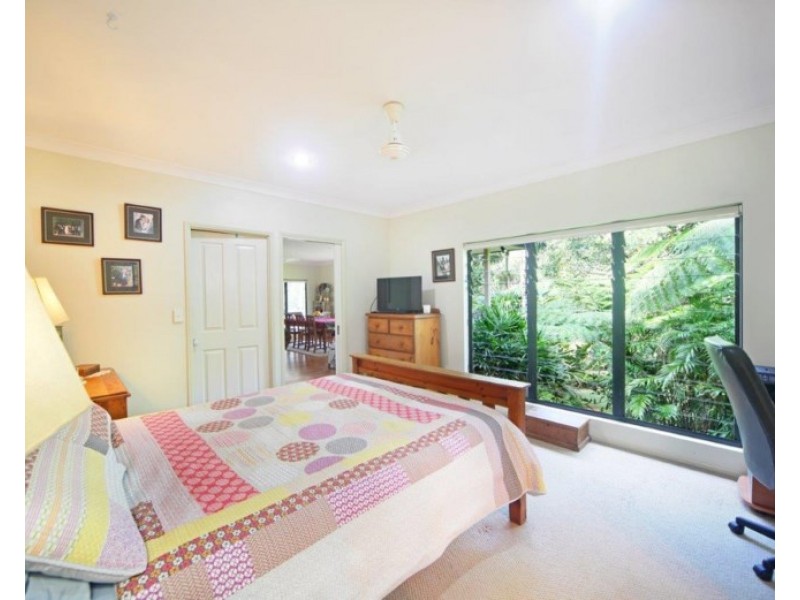 19 ULYSSES Close, Lake Eacham QLD 4884