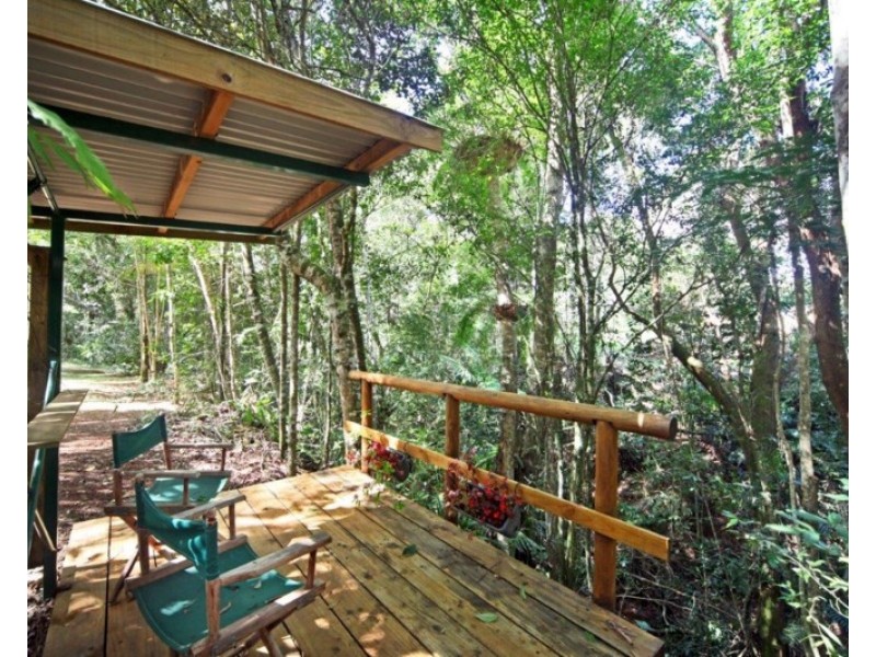 19 ULYSSES Close, Lake Eacham QLD 4884