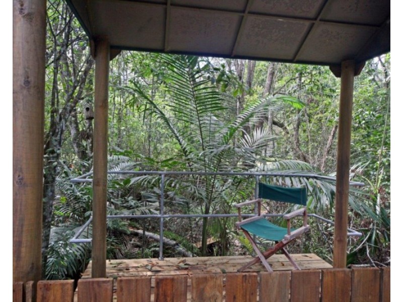 19 ULYSSES Close, Lake Eacham QLD 4884