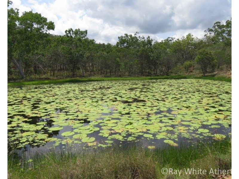 Mount Molloy QLD 4871