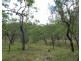 Mount Molloy QLD 4871