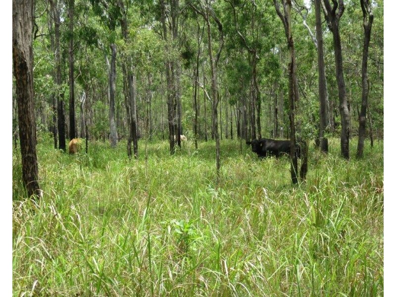 Mount Molloy QLD 4871