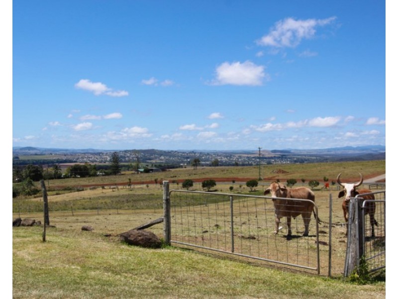 306 Griffin Road, Tolga QLD 4882