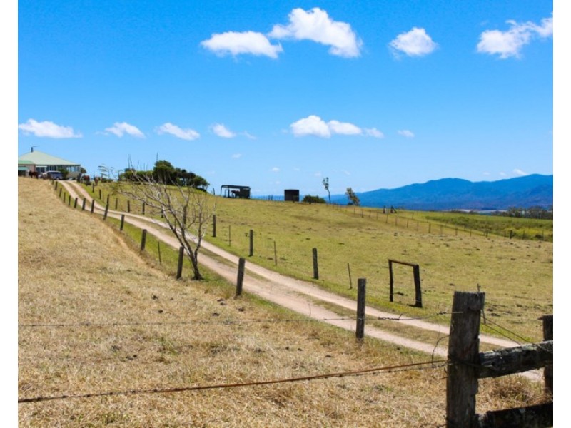 306 Griffin Road, Tolga QLD 4882