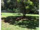 43 Park Avenue, Yungaburra QLD 4884