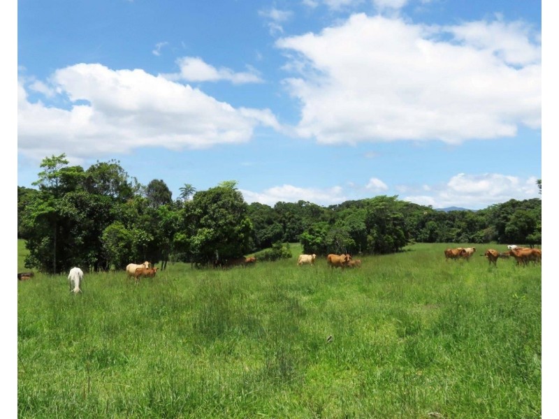 Butchers Creek QLD 4885