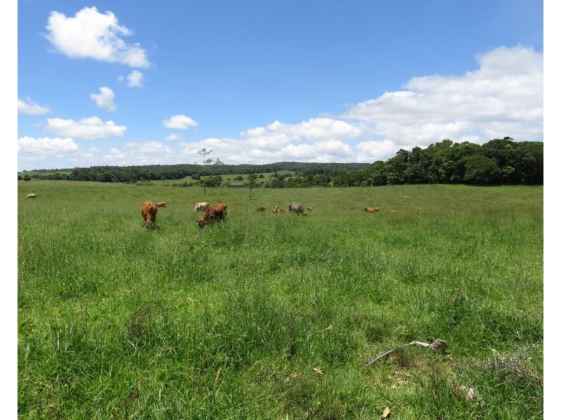 Butchers Creek QLD 4885
