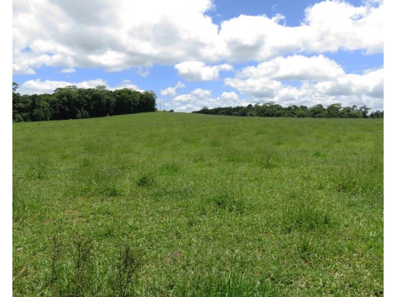 Butchers Creek QLD 4885