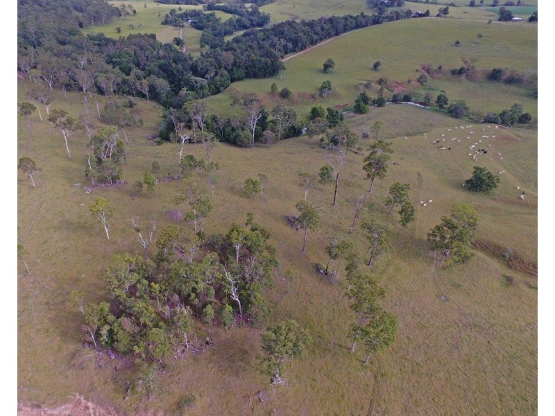 Upper Barron QLD 4883